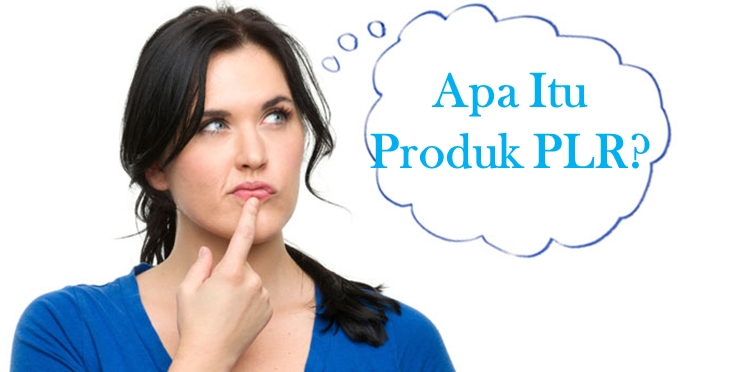 apa itu produk plr apa itu produk plr