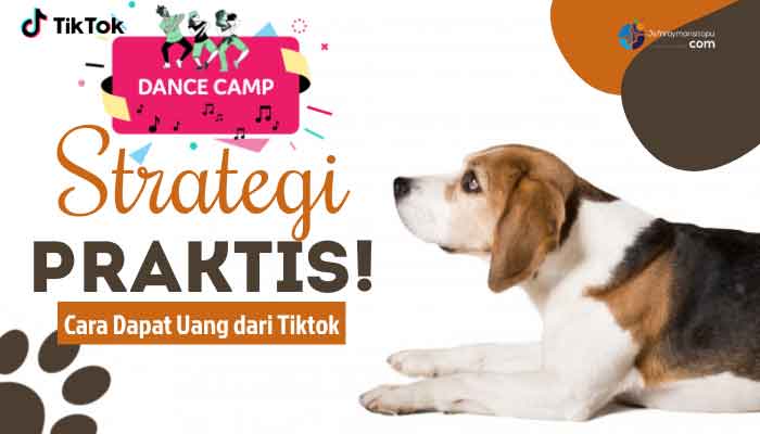 Cara-Dapat-Uang-dari-Tiktok
